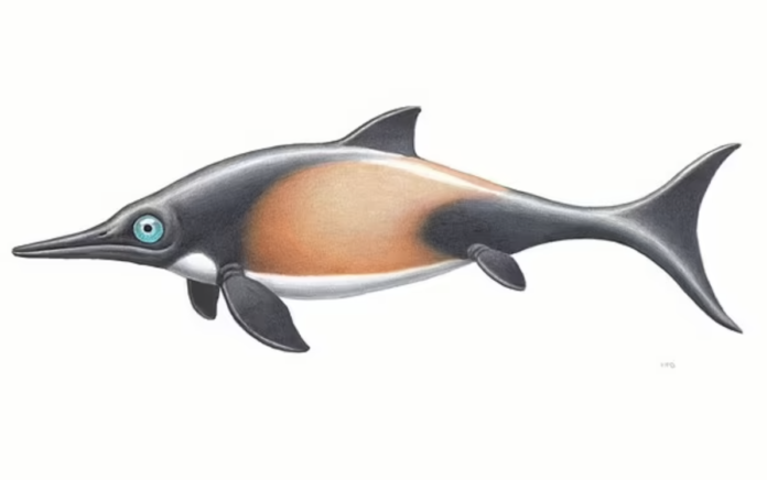 Ichthyosaurus