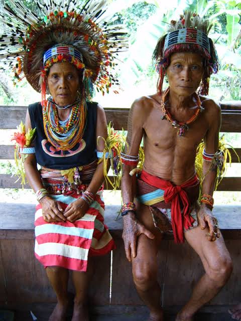 Fakta Suku Mentawai, Suku Tertua di Indonesia