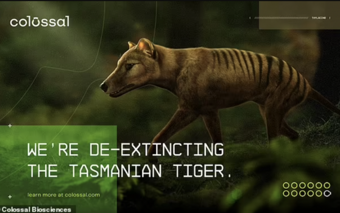 harimau tasmania