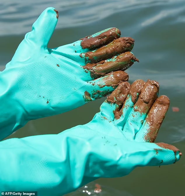 El derrame de petróleo del desastre de Deepwater Horizon hace 10 años todavía contamina el océano