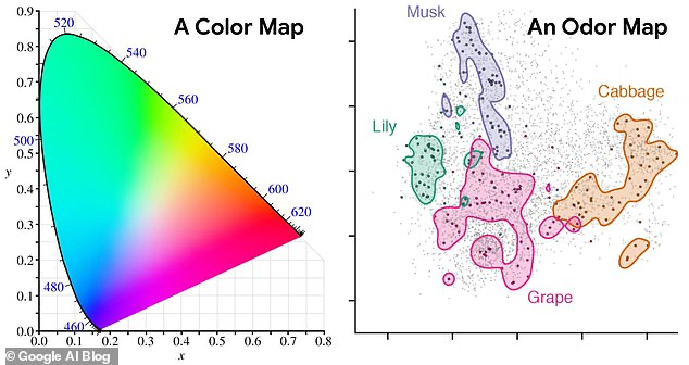 AI Canggih dari Google ini Ahli dalam Mendeskripsikan Bau