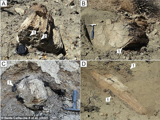 Riset : Meteorit yang Memusnahkan Dinosaurus Lalu Memicu Kebakaran Luas