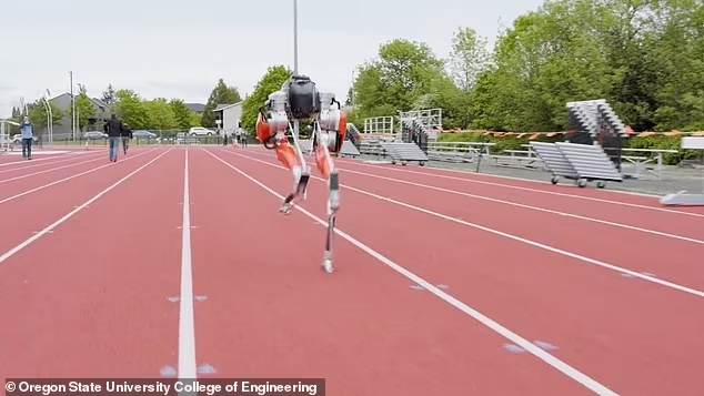 Robot Berkaki Dua ini Mendapat Rekor Dunia untuk Robot Sprint Bipedal Tercepat