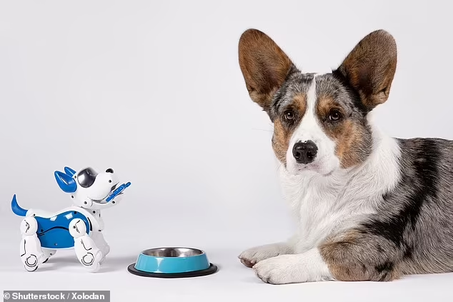 Inovasi Anjing Robot AI yang dapat Berperilaku Mirip Seperti Anjing Peliharaan