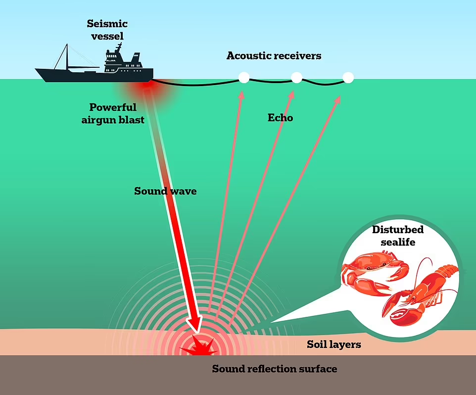 Menguak Misteri Matinya Ribuan Kepiting dan Lobster Secara Misterius