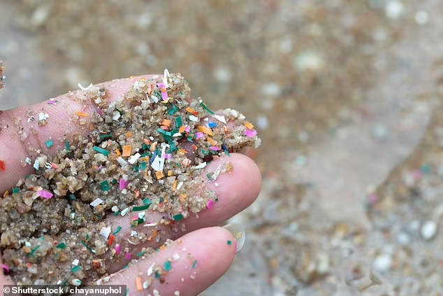 Riset : Jumlah Mikroplastik di Laut Meningkat Tiga Kali Lipat dalam 20 Tahun Terakhir