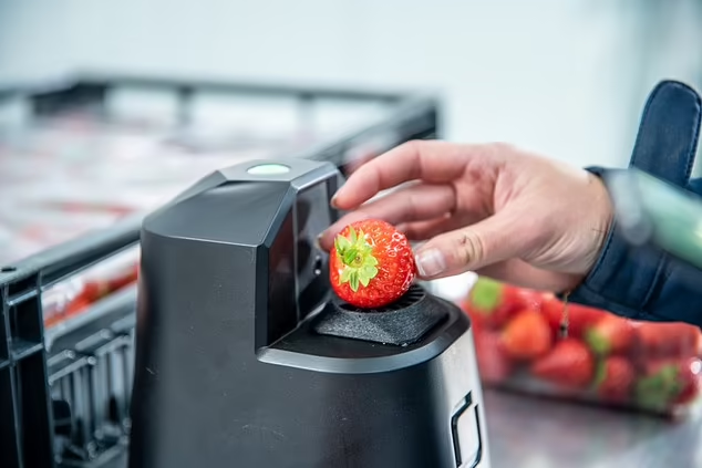 Inovasi Pemindai Buah, Mendeteksi Tingkat Kematangan Buah di Supermarket