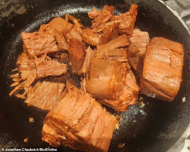 Mencoba Daging Tenderloin Sapi Nabati "Vegan" Pertama Di Dunia