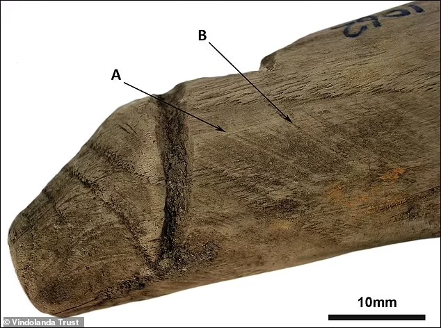 Penemuan Artefak Kayu "Alat Bantu Seks" Tertua di Inggris