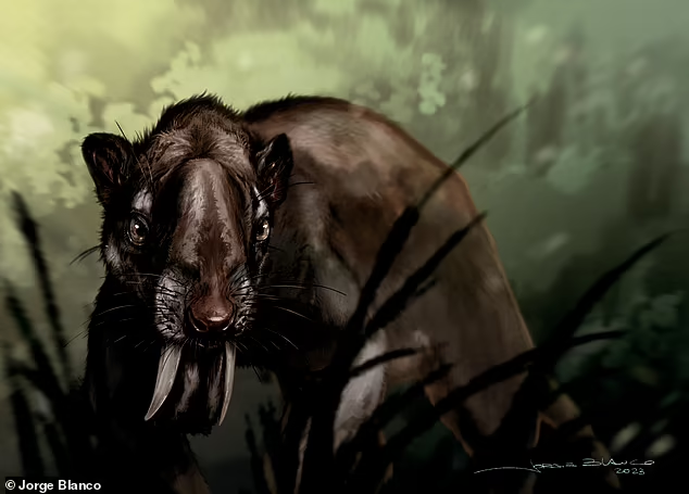 Fosil marsupial sabretooth, karnivora purba dengan gigi taring yang sangat besar