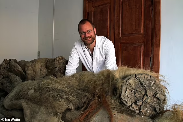 Studi Mengenai Mahluk Purba yang Paling Dikenal, Mammoth Woolier